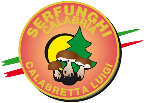 Serfunghi Calabria